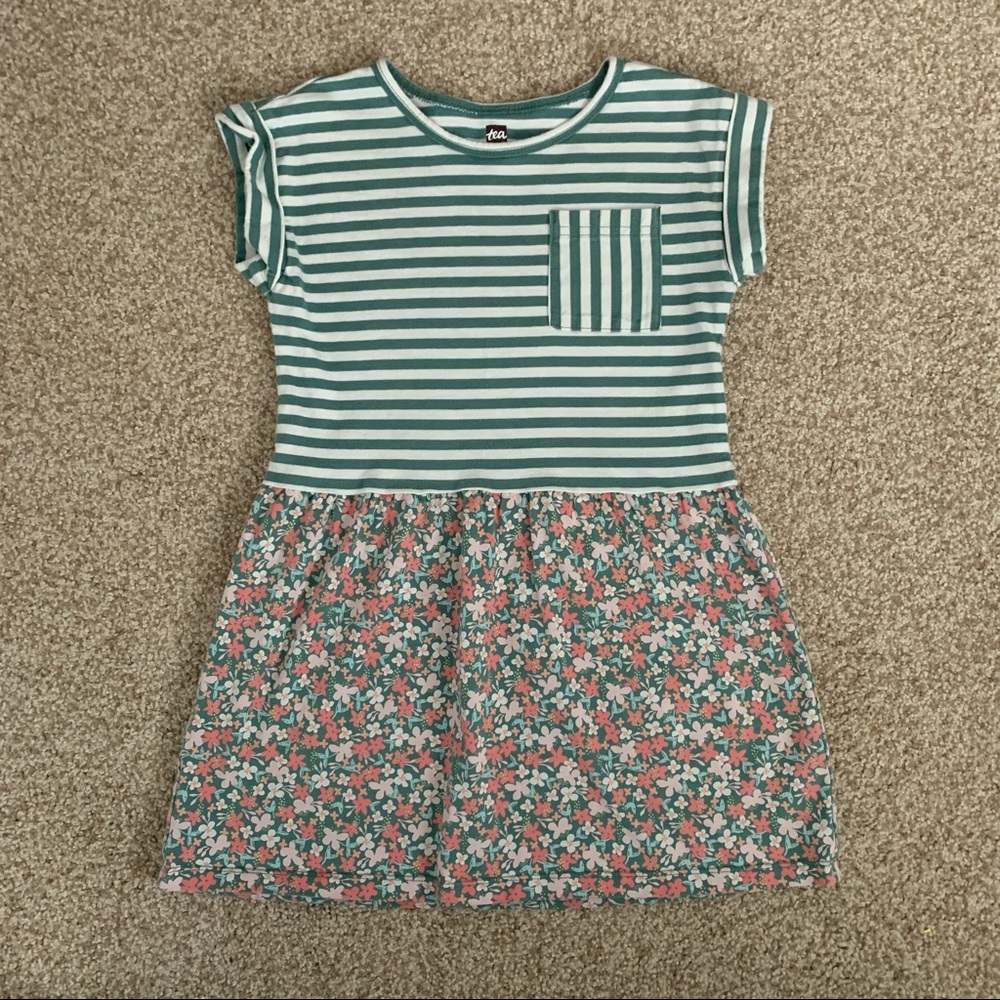 Tea Collection Stripe & floral dress